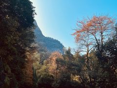 -江郎山风景名胜区
