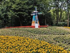 -上海共青森林公园