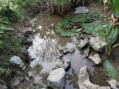 -广州从化都喜泰丽度假酒店温泉