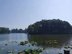 -上海市保健医疗中心