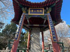-桃花堤公园