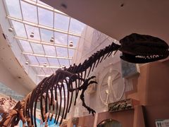 -陕西自然博物馆