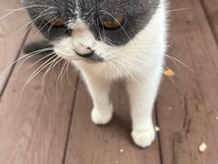 -伴山茶苑·围炉煮茶