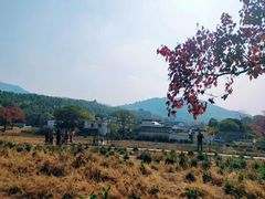 -塔川景区