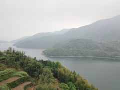 -四明山国家森林公园