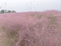 -池州市平天湖风景区