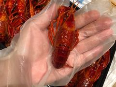 -靓靓蒸虾·头牌蒸虾(南山桂庙店)