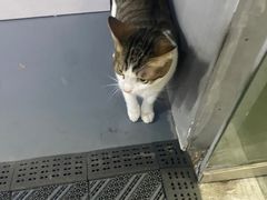 -蓝天射箭馆·专业射箭运动(诚丰广场店)