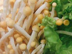 -蜀九香火锅(彩虹店)