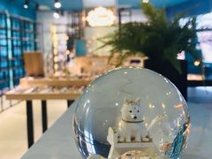-Trend1881视光·蔡司视觉(领展广场店)