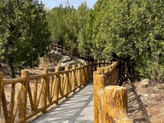 -白水寺森林公园