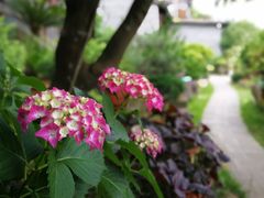 -万景茶庄·台州菜