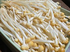 -巴倒烫陆派火锅山庄(南山总店)