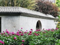 -丰台花园