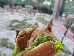 -上海野生动物园老虎餐厅