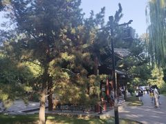 -晋祠公园