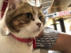 -小时光咖啡馆(开森度假森林店)