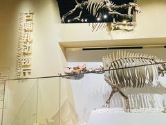 -国家自然博物馆