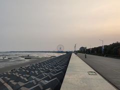 -奉贤海滩