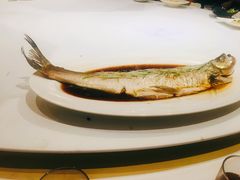 清蒸大白鱼-赵记老铺(市府恒隆广场店)