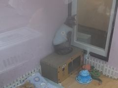 -联合动物医院(光谷诊疗中心)
