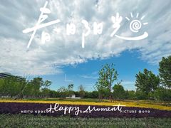 -上海山野camping·户外天幕烧烤·团建拓展营地