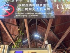 -野象谷景区