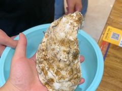 -东来菜馆•手抓海鲜家常菜•海鲜锅贴(鸽子窝店)