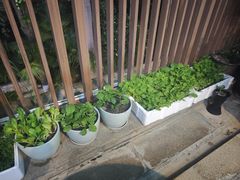 -茶油香闽南菜·花园餐厅(前埔店)