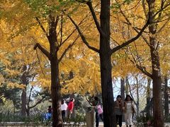 -玲珑塔公园