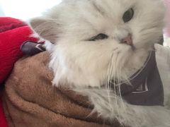 -大洋晶典(东街店)