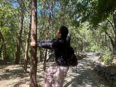 -阳台山自然风景区