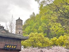 -紫阳古街