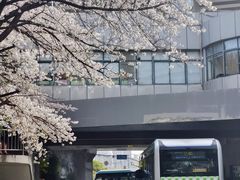 -上海南浦大桥长途旅游客运站