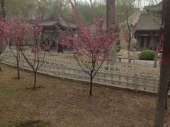 android_upload_pic-文瀛公园