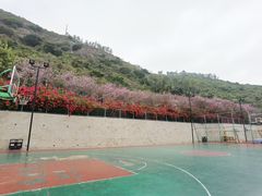 -小南山公园