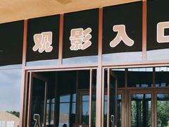 -敦煌莫高窟数字展示中心