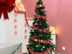 -喵园·猫主题咖啡厅·撸猫·猫咖(国贸店)