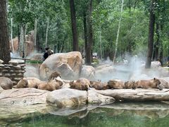 -北京野生动物园