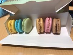 -COMME des GARCONS(银座三越店)