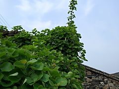 -许家山