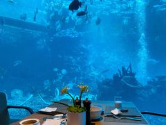 -海棠湾洲际-涛·海底餐厅·美人鱼·自助餐·海底隧道