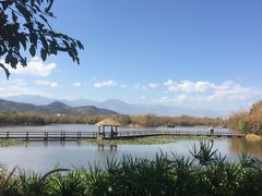 -西昌邛海湿地