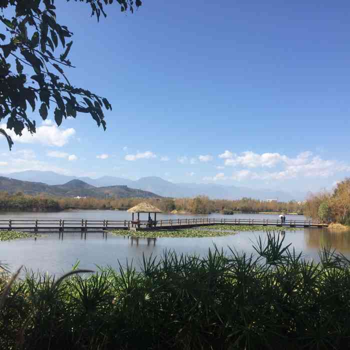 煙雨鷺洲溼地公園-