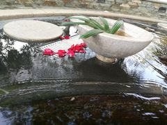 -碧水湾温泉