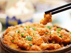 -新概念来凤鱼(璧山店)