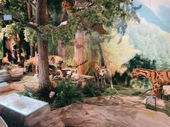 -重庆中国三峡博物馆(重庆博物馆)