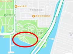 -华侨公园