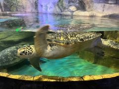 -多彩贵州城极地海洋世界