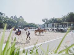 -名驭国际马术学院